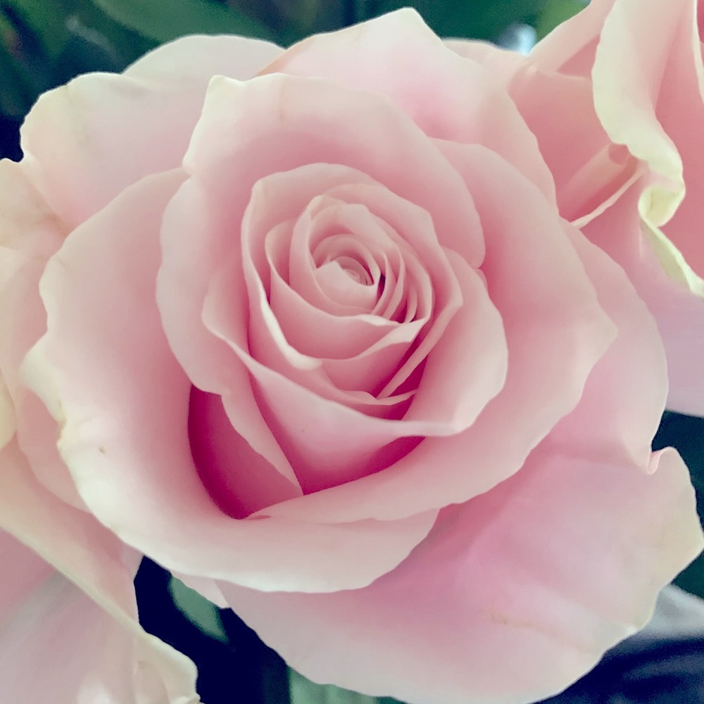 Meet your Posher, Gretchen